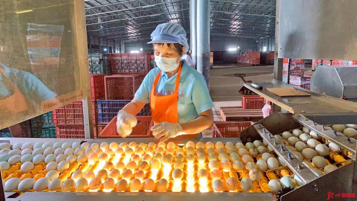 網(wǎng)眼看欽州|誠(chéng)信食品企業(yè)開(kāi)放日 &ldquo;零距離&rdquo;感受放心食品